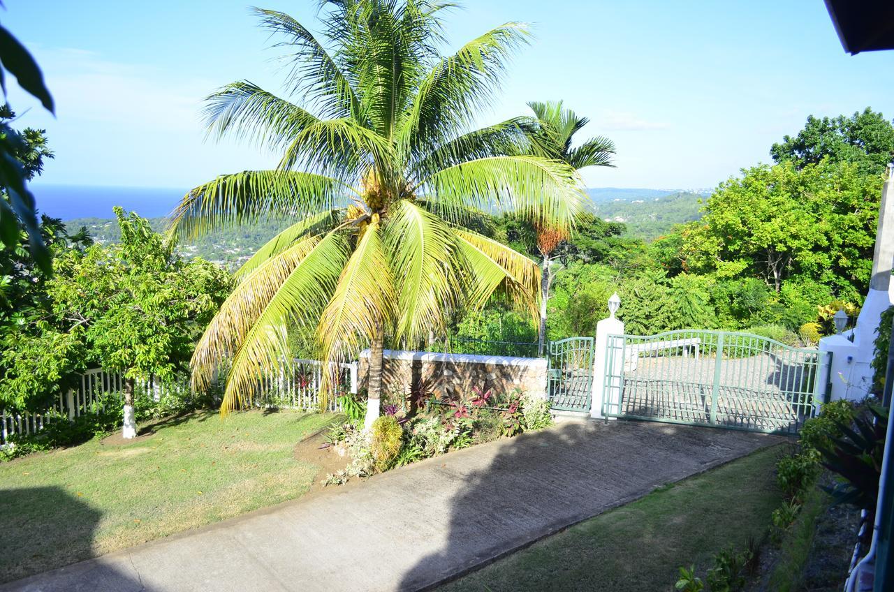 Pink Rock Inn Bed And Breakfast Ocho Rios Exterior foto